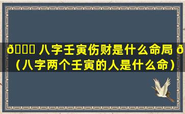 🐞 八字壬寅伤财是什么命局 🐘 （八字两个壬寅的人是什么命）